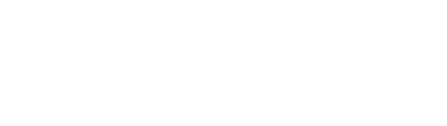 Holomovement