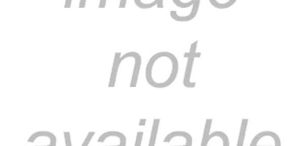 Amazon.com: A New Universal Dream: My Journey from Silicon Valley to a Life in Service to Humanity: 9781958921258: Farrell, Steve: Books